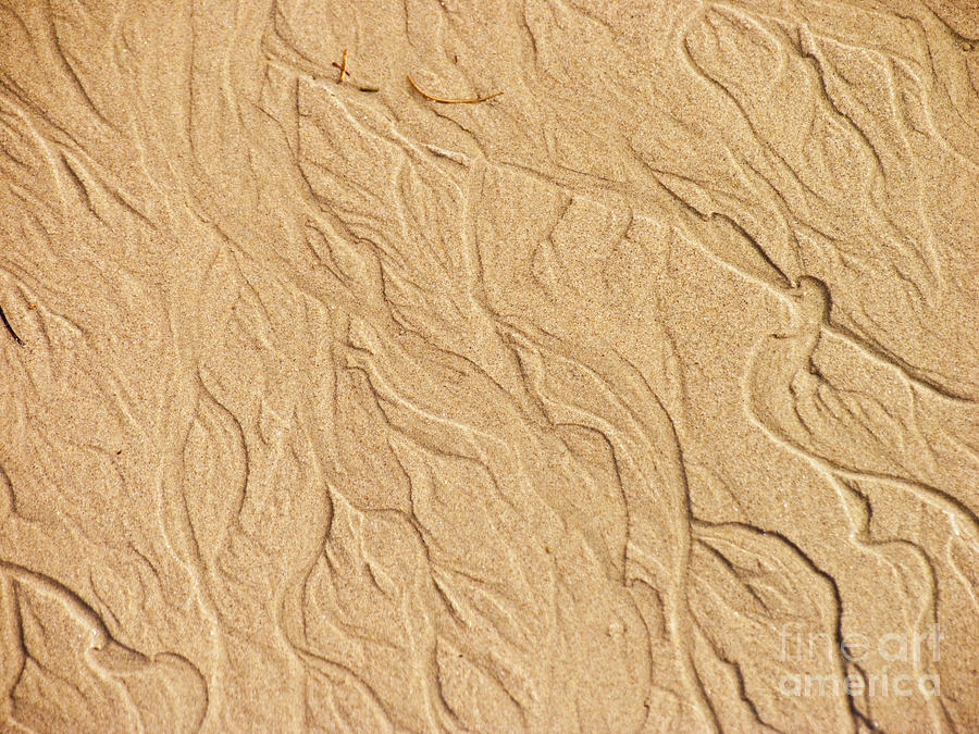 Sand Texture 1 Photograph by David Doucot