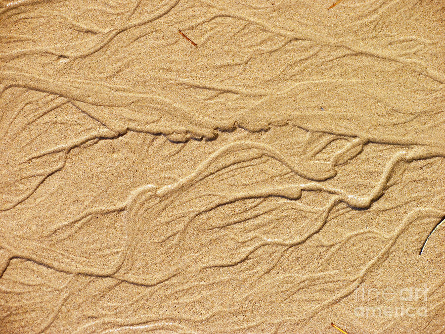 Sand Texture 3 Photograph by David Doucot