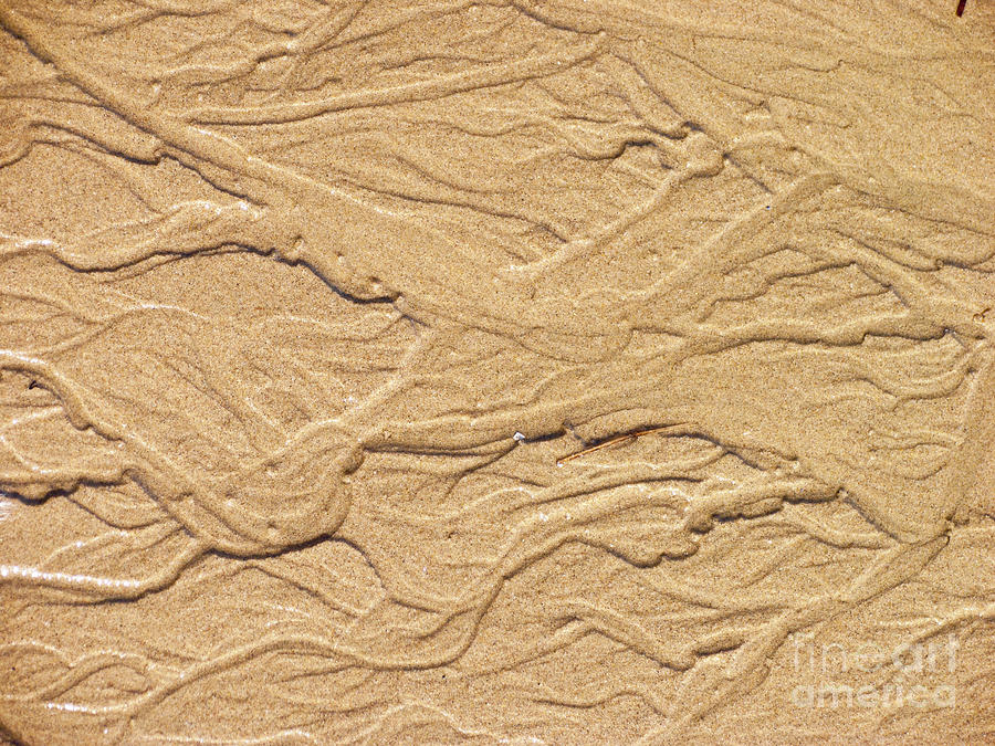Sand Texture  4 Photograph by David Doucot