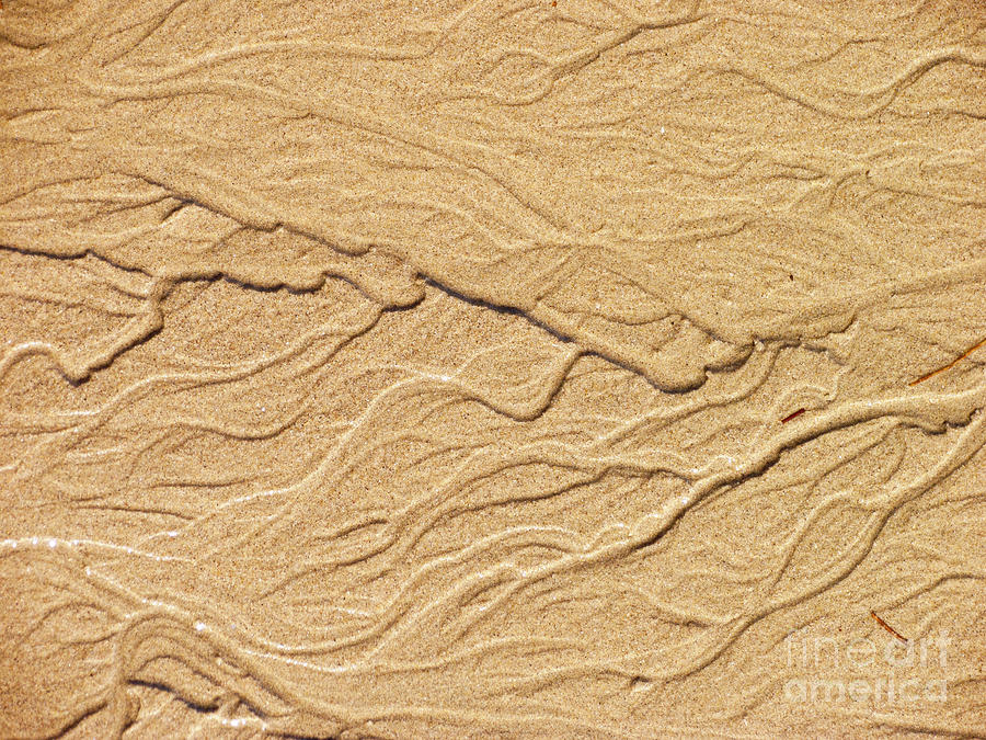 Sand Texture 5 Photograph by David Doucot