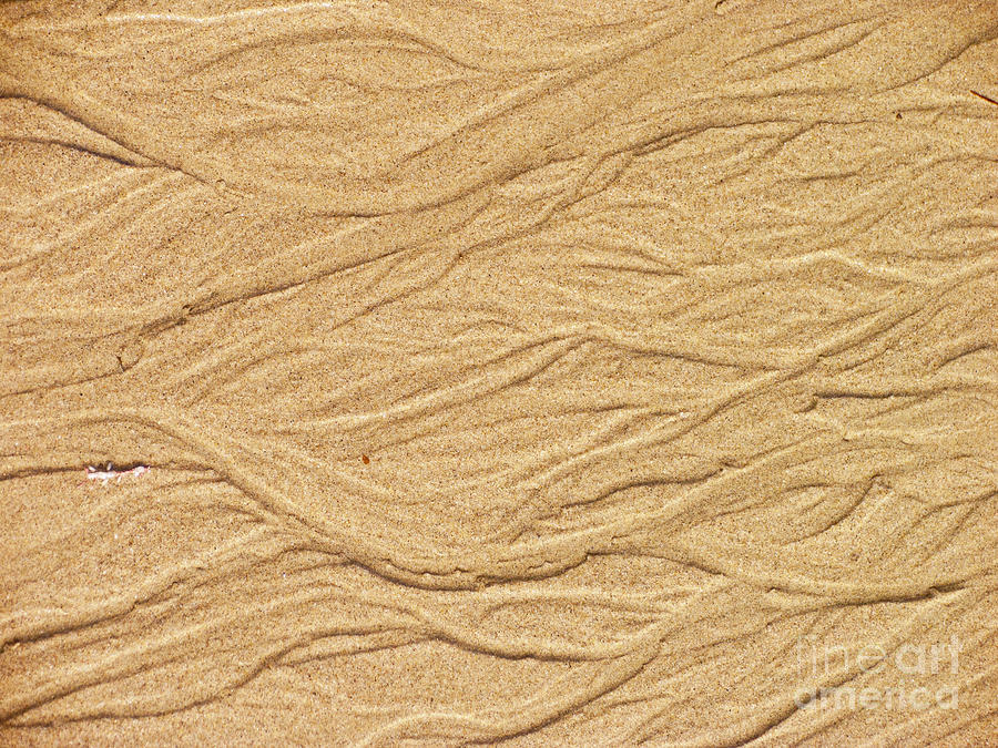 Sand Texture  6 Photograph by David Doucot