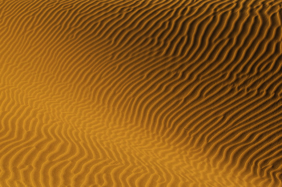 Sand Texture Photograph by David Navarro Azurmendi