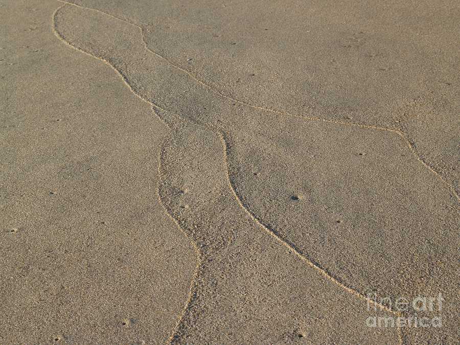 Sand Tracings in Ocean Grove Photograph by Anna Lisa Yoder