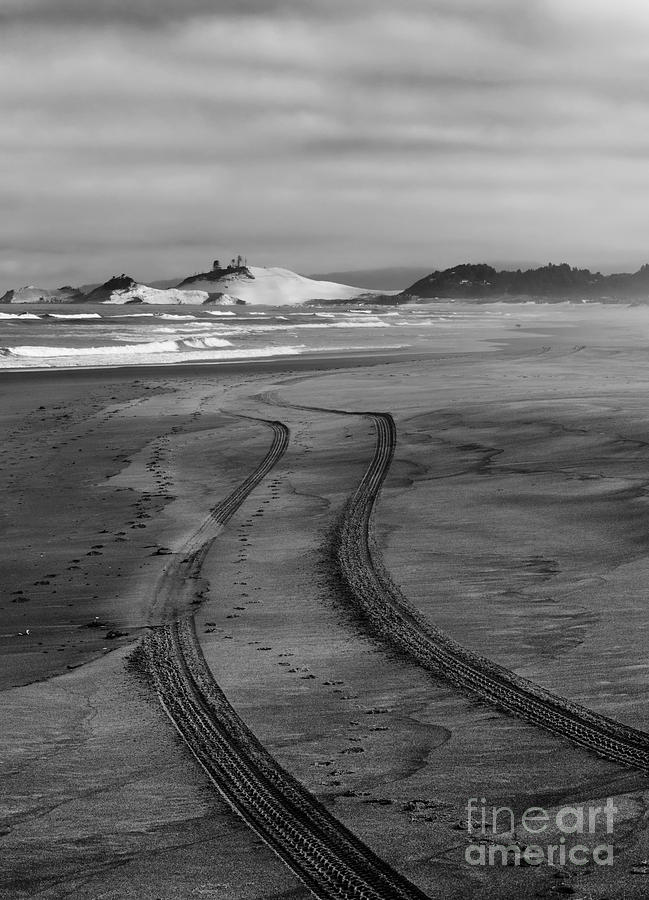 Beach Photograph - Sand Tracks by Michael Dawson