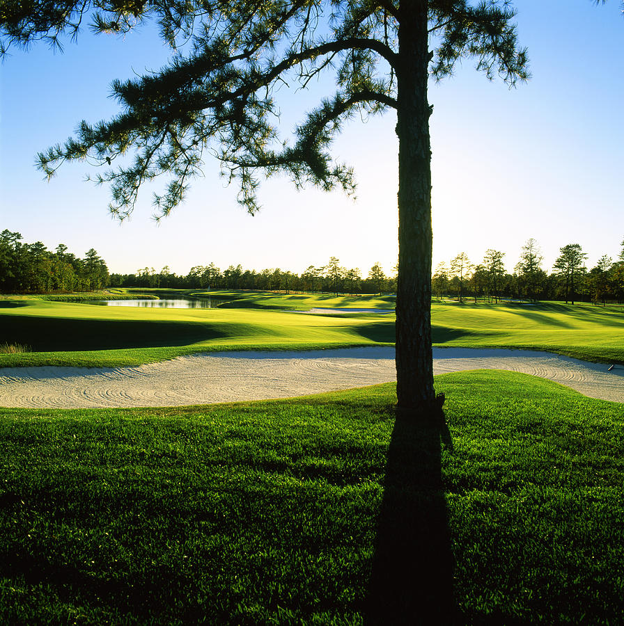 Sand Trap In A Golf Course, Ballamor Photograph by Panoramic Images