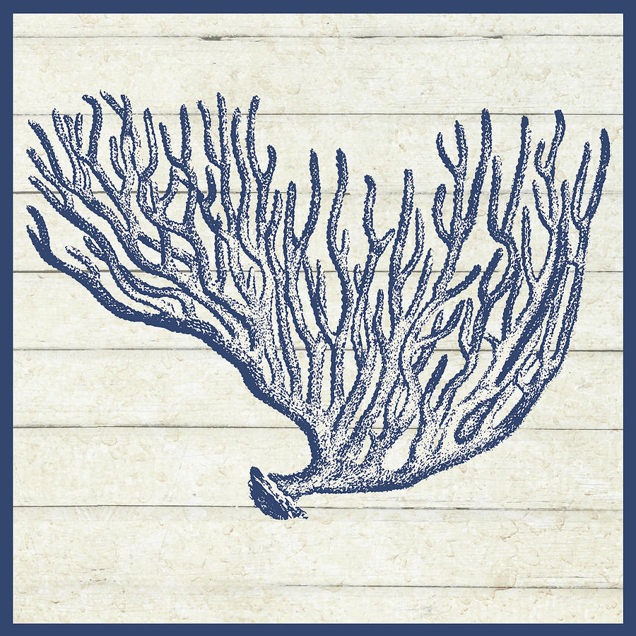 Marine Drawing - Sand Treasures by MGL Meiklejohn Graphics Licensing Marine Drawing - Sand Treasures by MGL Meiklejohn Graphics Licensing