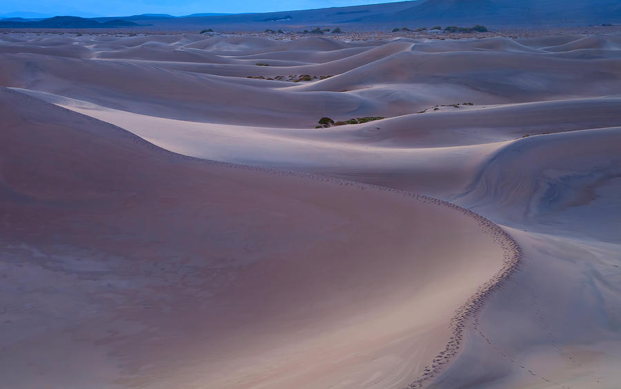 Sand Waves Photograph by Jonathan Nguyen