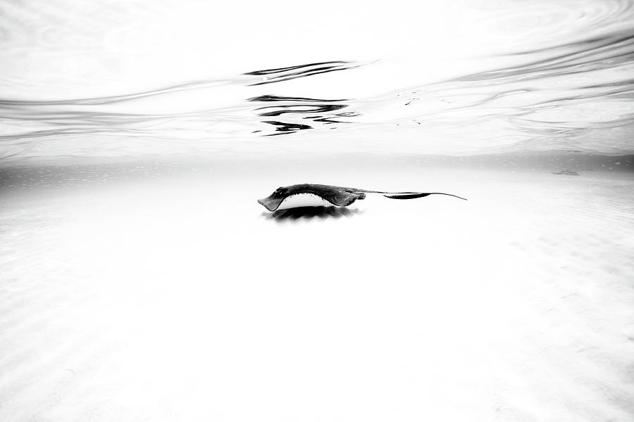 Black And White Photograph - Sandbar Series I by Natalia Martin De