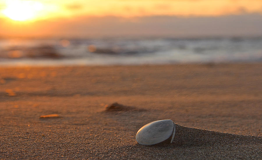 Sandblast Photograph by Sandbridge Sunrise - Fine Art America