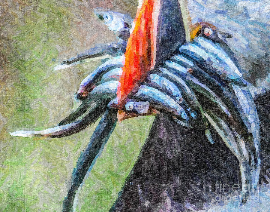 Fish Digital Art - Sandeels by Liz Leyden
