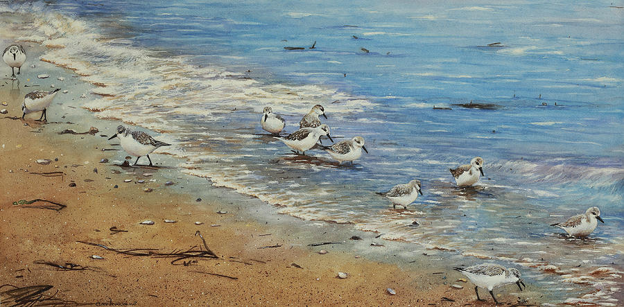 Sanderlings On The Beach Painting by Ezartesa