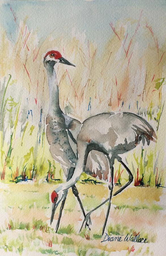 Sandhill Cranes at the Celery Fields Painting by Diane Wallace | Fine ...