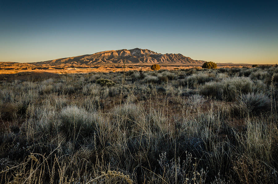 Sandia Mountains and Tall Grass at Sunset Photograph by Anthony Doudt