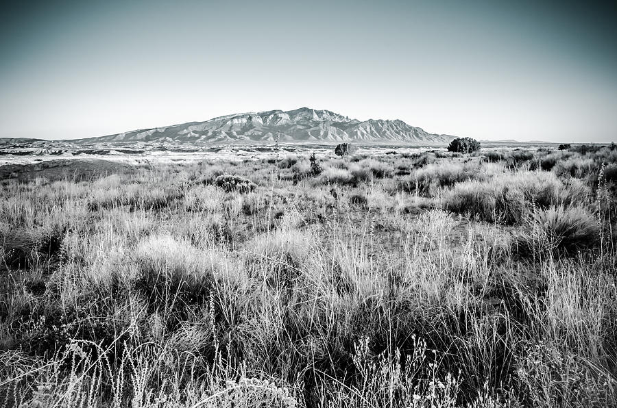 Sandia Mountains At Sunset In Black And White Photograph