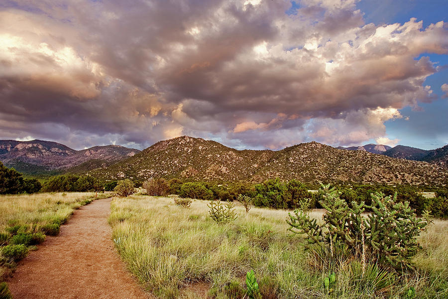 Albuquerque Photograph - Sandia Mountains by Sam Adams