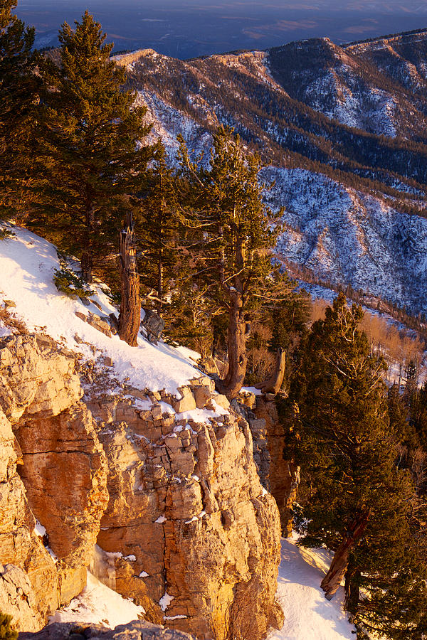 Sandia Peak Summit Albuquerque New Mexico Photograph by Mary Lee Dereske