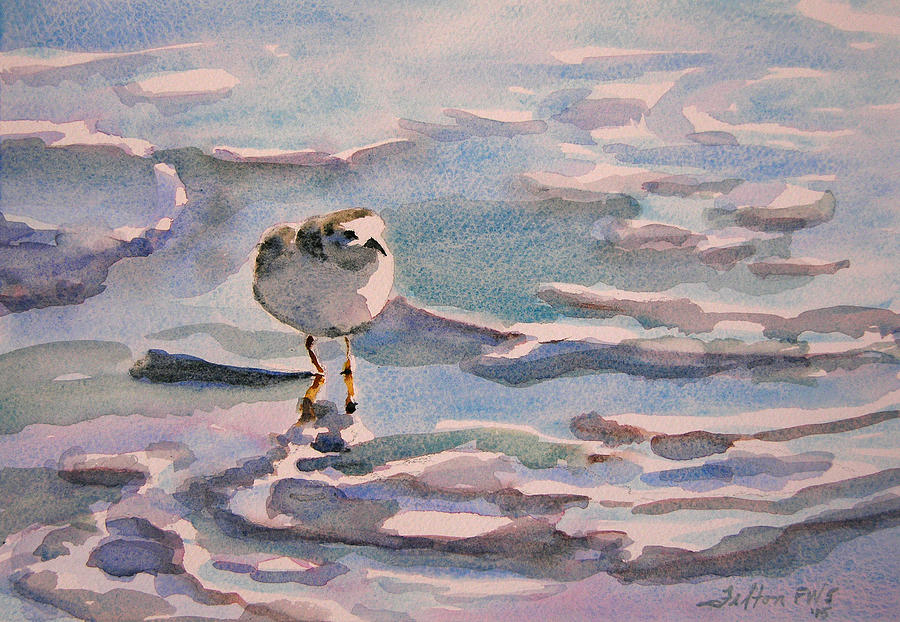 Bird Watercolor Painting - Sandpiper and seafoam 3-8-15 by Julianne Felton