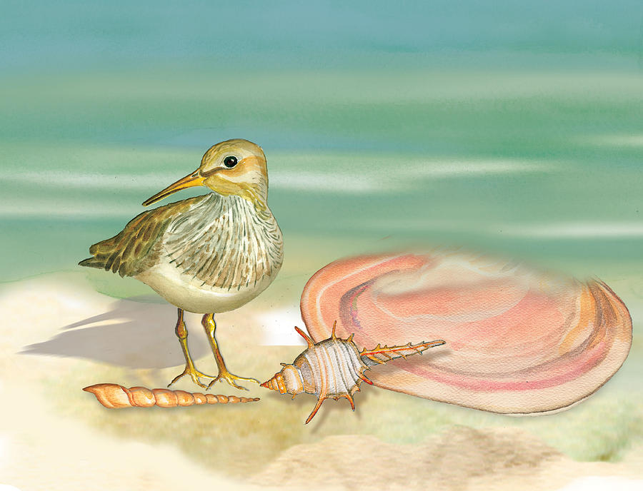 Sandpiper on Beach Painting by Anne Beverley-Stamps