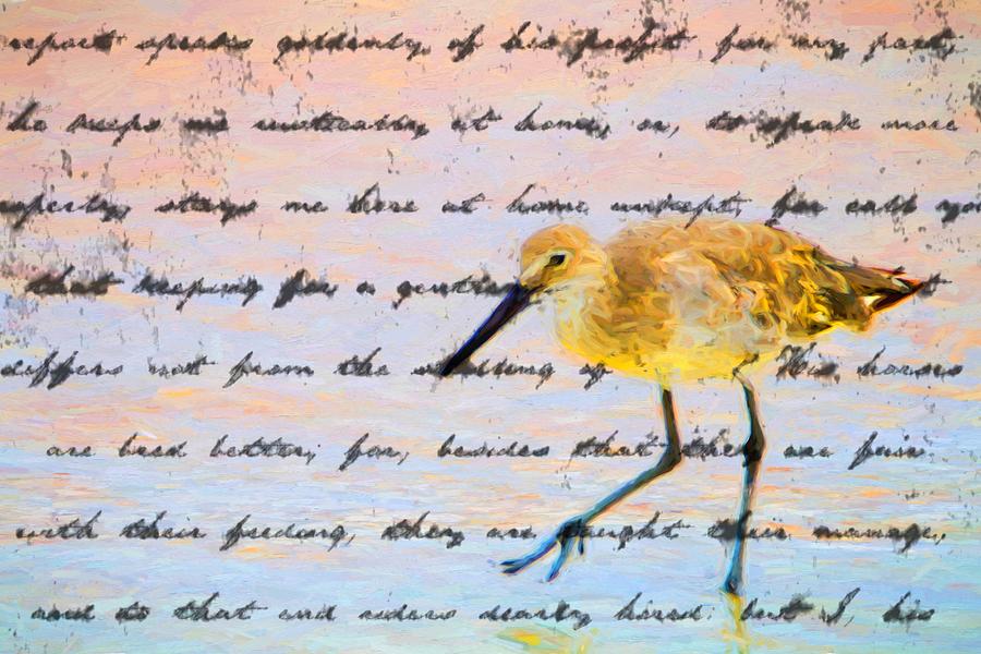 Sandpiper Poetry Photograph by Alice Gipson