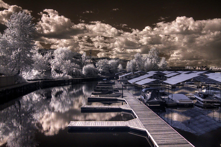 Sandpoint Marina in Infrared Photograph by Lee Santa