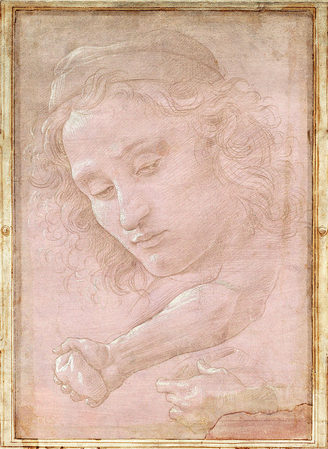 Botticelli Drawings ubicaciondepersonas.cdmx.gob.mx