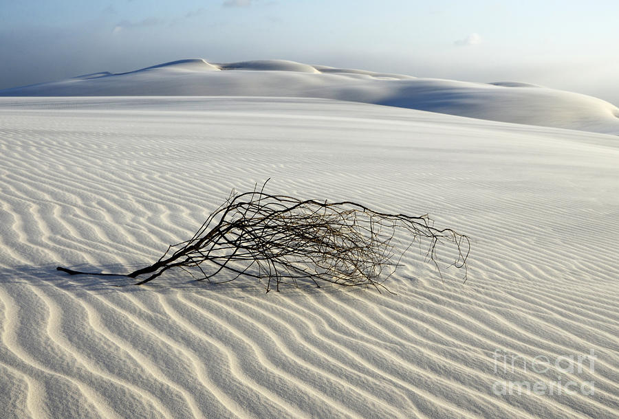 Nature Photograph - Sands Of Time Brazil by Bob Christopher
