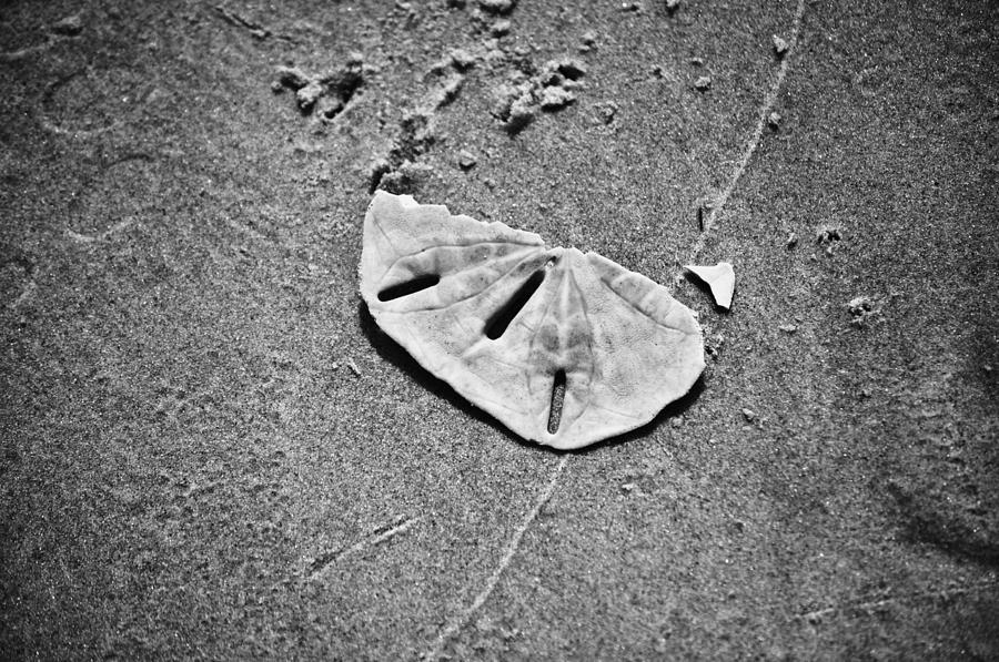 Black And White Photograph - Sands of Time by Wayne Ackerson