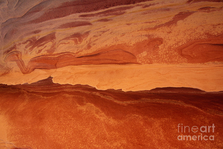 Sandstone Abstract Colorado Plateau Utah Photograph by Dave Welling