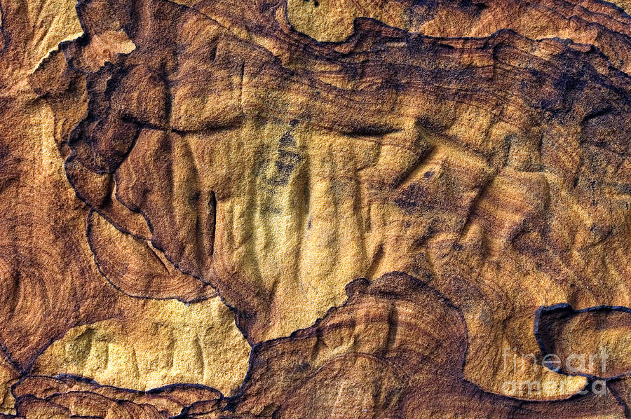 Sandstone Abstract - D001308 Photograph by Daniel Dempster