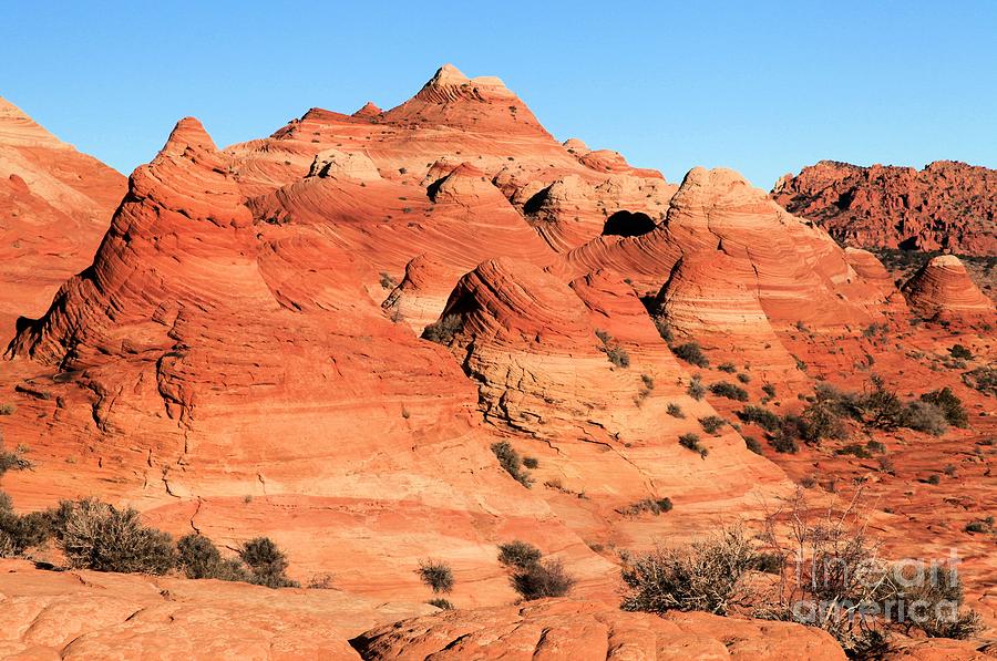 The Wave Photograph - Sandstone Amphitheater by Adam Jewell The Wave Photograph - Sandstone Amphitheater by Adam Jewell