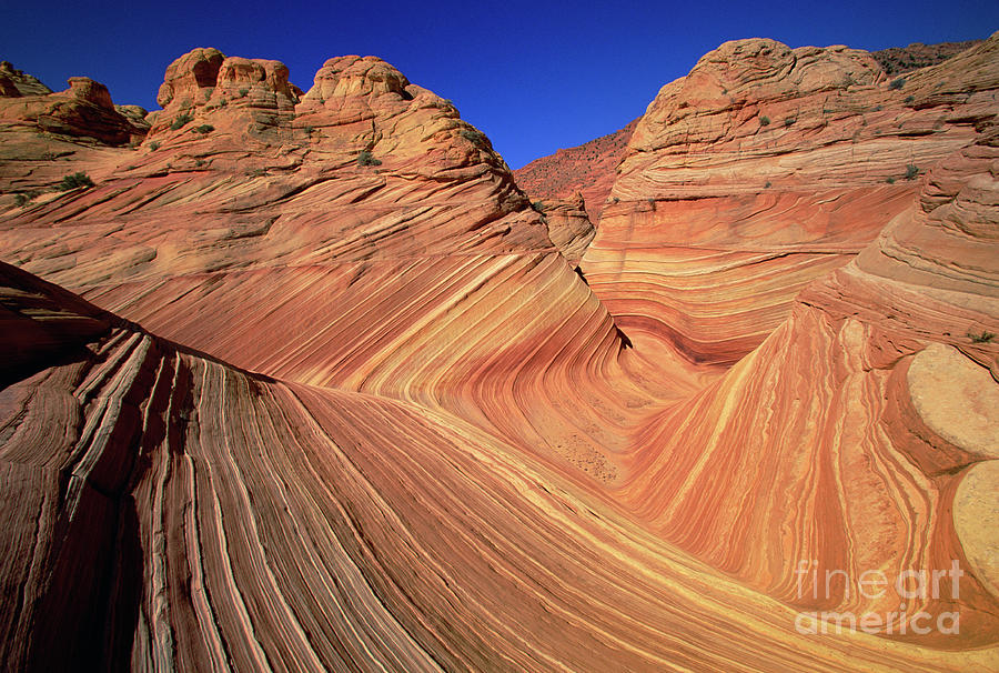Sandstone Buttes Colorado Plateau Photograph by Yva Momatiuk John Eastcott