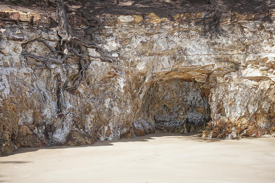 Beach Photograph - Sandstone Cave by Douglas Barnard