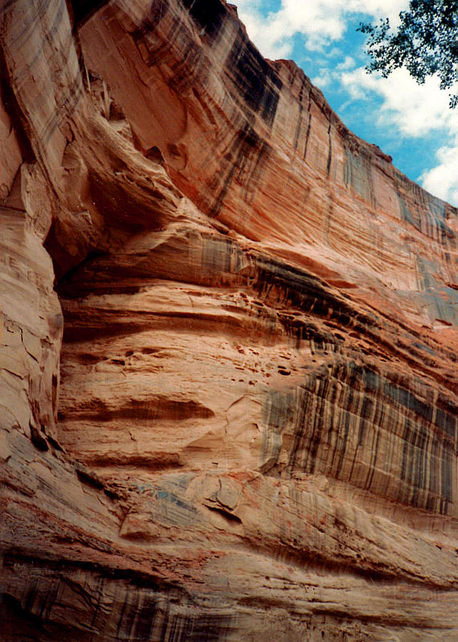 Sandstone Cliff in Canyon de Chelly 1993 Photograph by Connie Fox