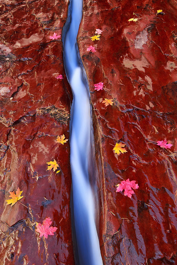 Sandstone Crack Photograph by Quynh Ton - Fine Art America