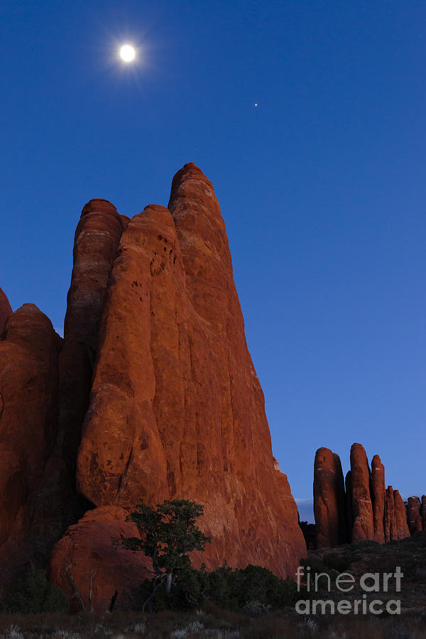 Sandstone Fins in Arches National Park Photograph by John Shaw