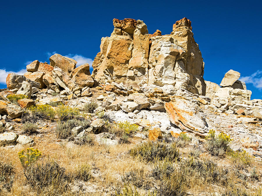 Sandstone Formation, Castle Gardens, Wy Photograph by Millard H. Sharp