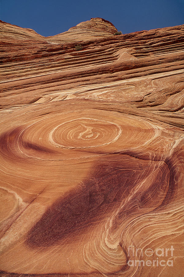 Sandstone Formations Colorado Plateau Utah Photograph by Dave Welling