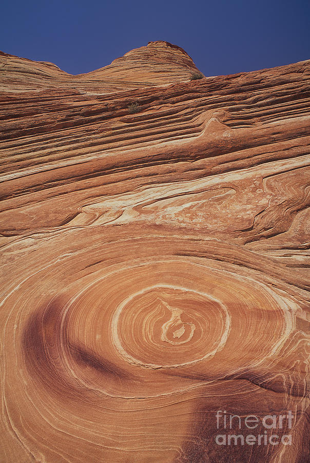 Landscape Photograph - Sandstone Formations Coyote Buttes Colorado Plateau Utah by Dave Welling