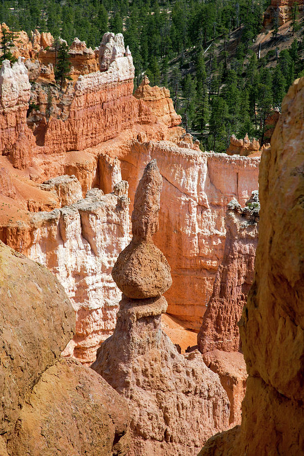 Sandstone Hoodoo Photograph by Science Photo Library Sandstone Hoodoo Photograph by Science Photo Library