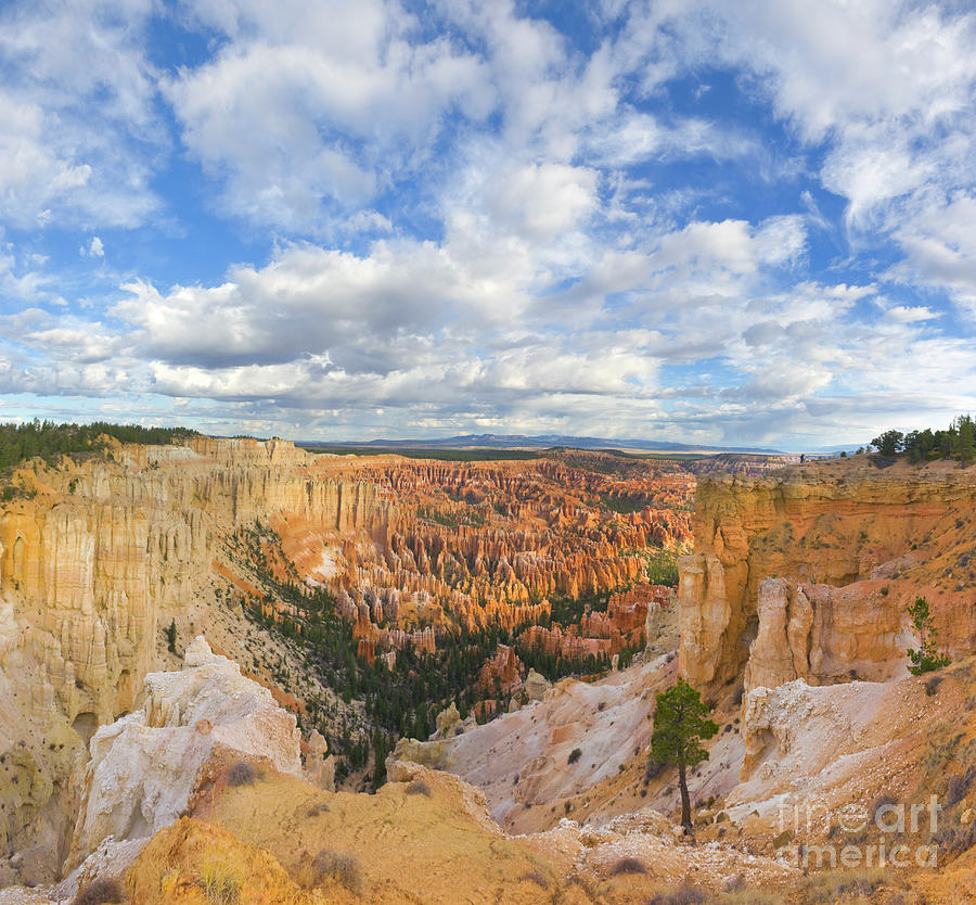 Bryce Canyon Hoodoos Photograph by Yva Momatiuk John Eastcott