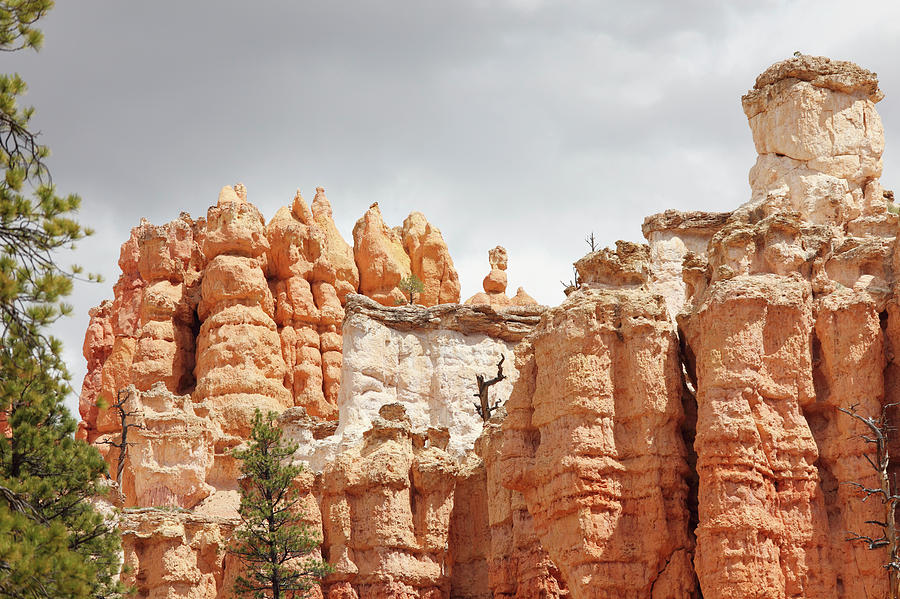 Sandstone Hoodoos Near Bryce Canyon Photograph by Arturbo