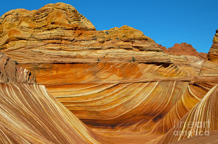 Sandstone Lines and Curves Photograph by Bob Phillips