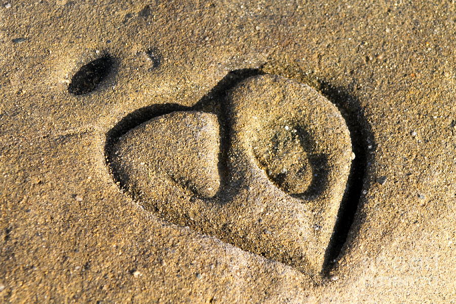Sandstone Love Photograph by Pamela Walrath