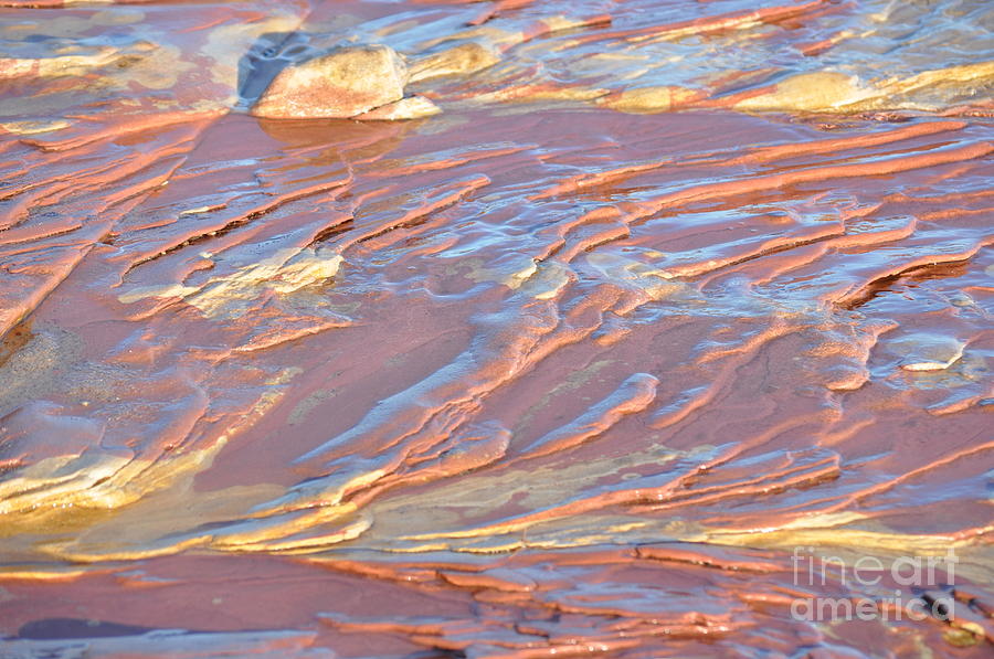 Nature Photograph - Sandstone Mosiac by Jim Simak