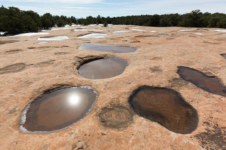 Desert Photograph - Sandstone Potholes by Dr Juerg Alean/science Photo Library