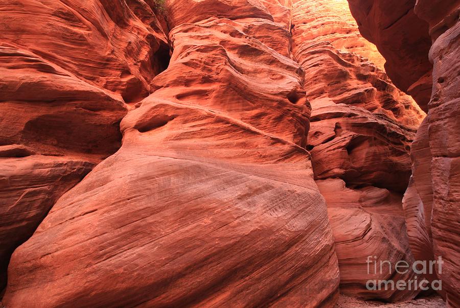 Sandstone Puzzle Photograph by Adam Jewell