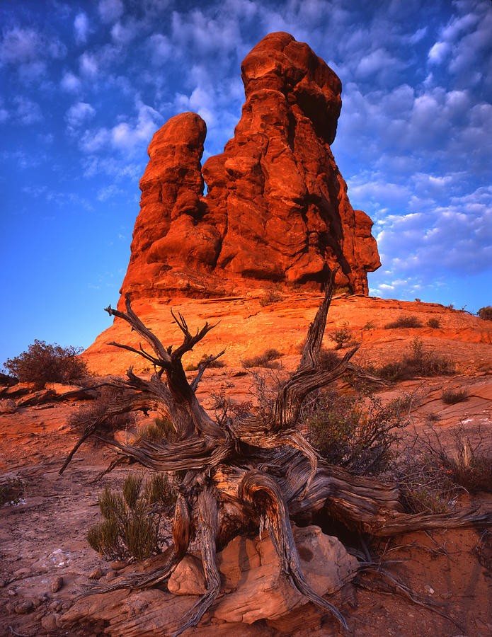 Sandstone Sunrise Photograph by Ray Mathis