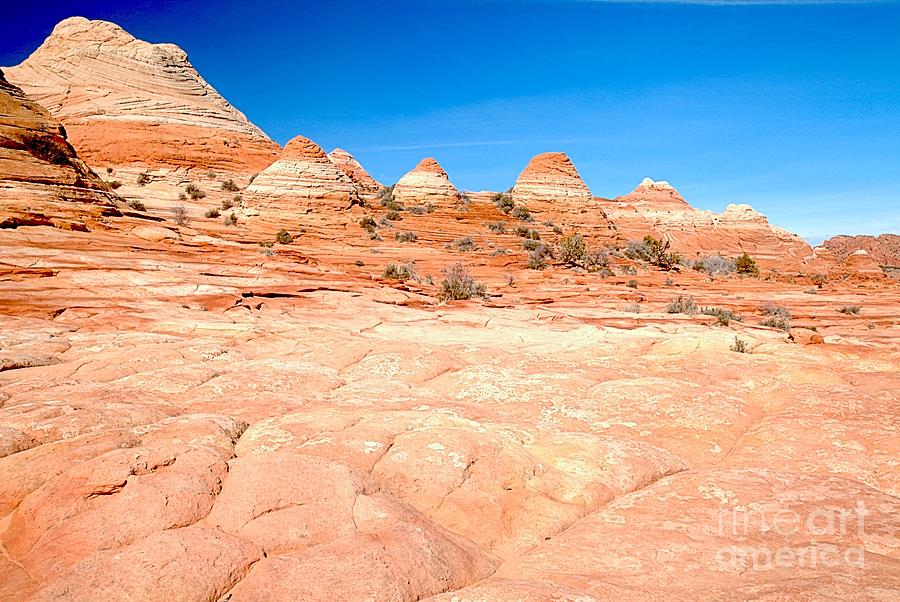 Sandstone Tiles And Buttes Photograph by Adam Jewell