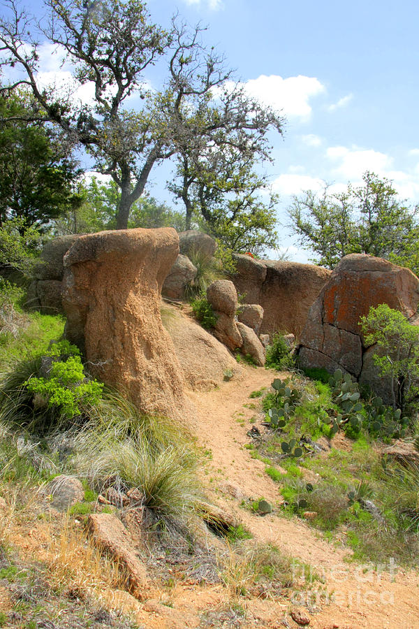 Toadstone Rocks Sandstone toadstools Photograph by Frank Townsley - Fine Art America