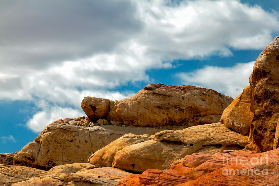 Lake Mead National Recreation Area Photograph - Sandstone Tortoise by Robert Bales
